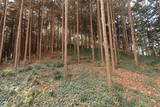 常陸 蕨砦の写真