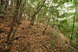 常陸 山小屋城の写真