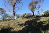 常陸 山入城の写真