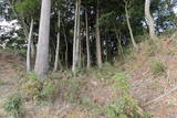 常陸 山尾城の写真