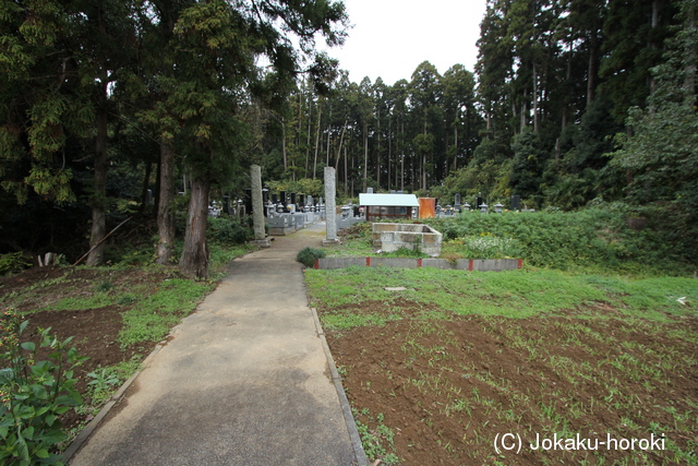 常陸 寄居城の写真