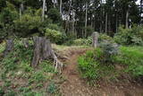 常陸 寄居城の写真