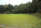 常陸 寄居城の写真