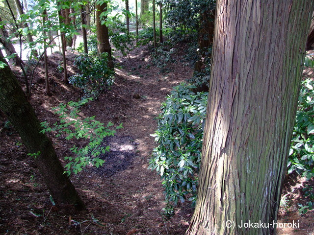 常陸 吉田城の写真