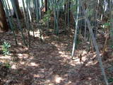 常陸 吉田城の写真