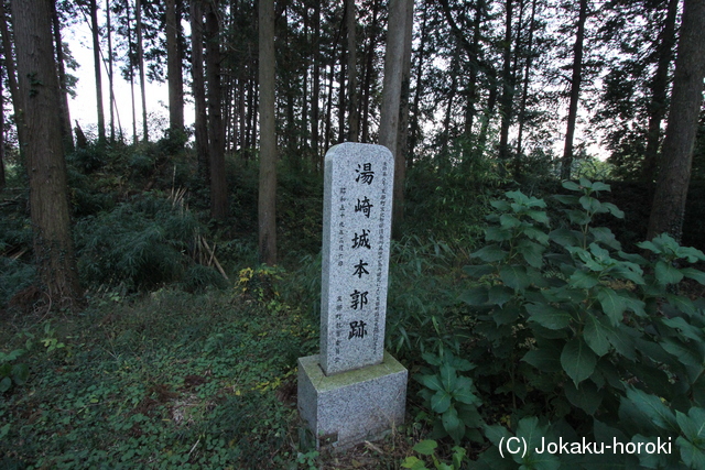 常陸 湯崎住吉城の写真