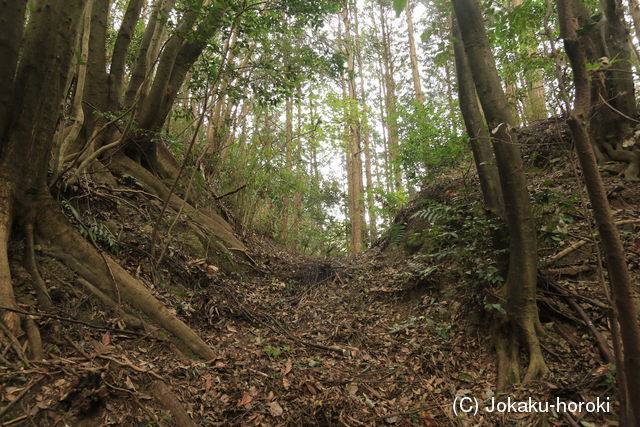 肥前 青山城の写真