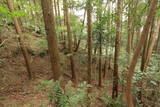 肥前 青山城の写真