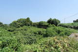 肥前 大垣城の写真