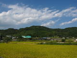 肥前 鎮西山城の写真