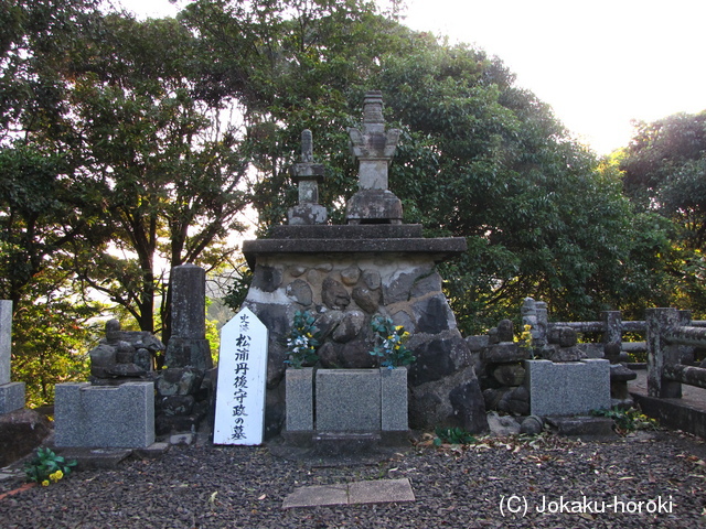 肥前 大智庵城の写真