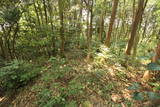 肥前 風南城の写真