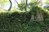 肥前 古湯城の写真