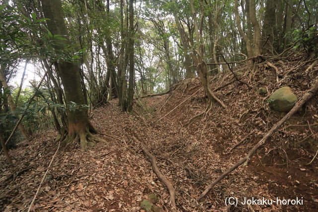 肥前 権現岳城の写真