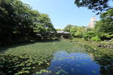 肥前 五島邸の写真