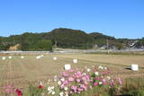 肥前 袴野城の写真