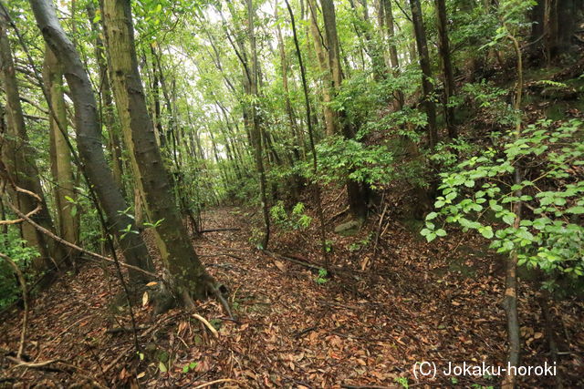 肥前 松山城(波佐見町)の写真