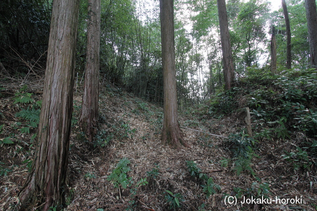 肥前 平原城の写真