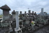 肥前 宝泉寺館の写真