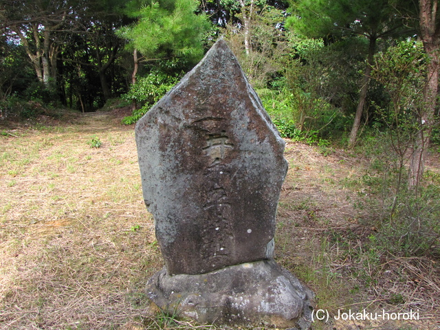 肥前 井手平城の写真