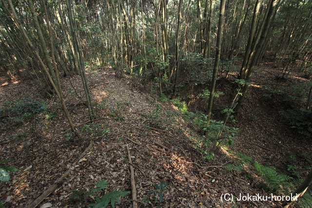 肥前 岡城の写真