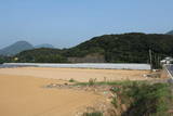 肥前 岡城の写真