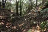 肥前 岡城の写真