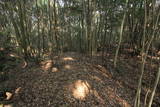 肥前 岡城の写真