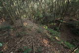 肥前 岡城の写真
