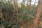 肥前 八幡山城(松浦市)の写真