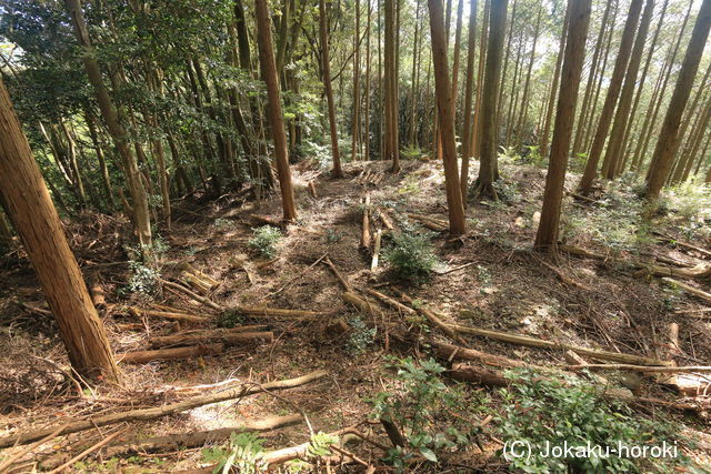 肥前 山口城(伊万里市)の写真