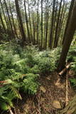 肥前 山口城(伊万里市)の写真