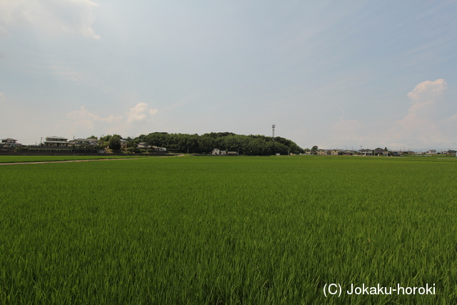 肥前 今富城の写真