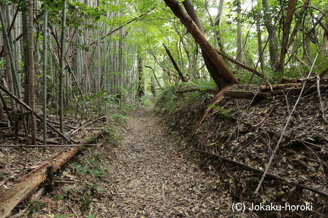 肥前 板部城の写真