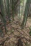 肥前 板部城の写真