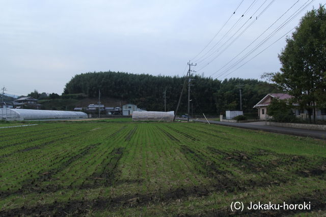 肥前 糸岐城の写真