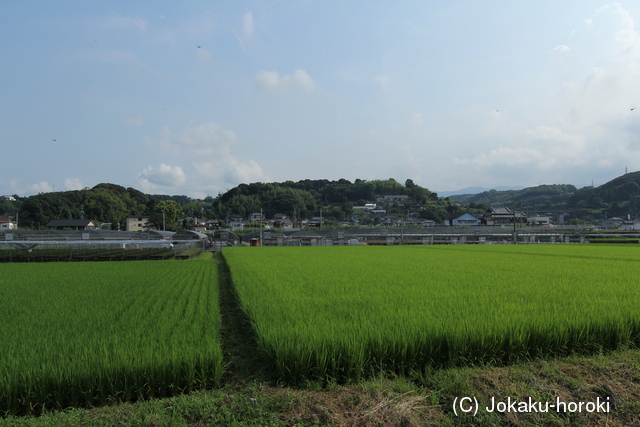 肥前 岩松城の写真