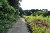 肥前 岩松城の写真