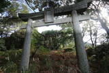 肥前 岩崎城の写真