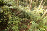 肥前 岩崎城の写真