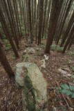 肥前 八幡山城(西海市)の写真