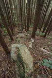 肥前 八幡山城(西海市)の写真