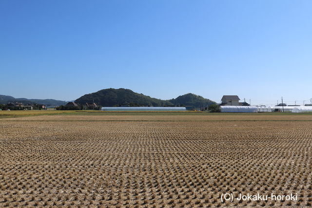 肥前 樺島山城の写真