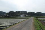 肥前 花頂山館の写真