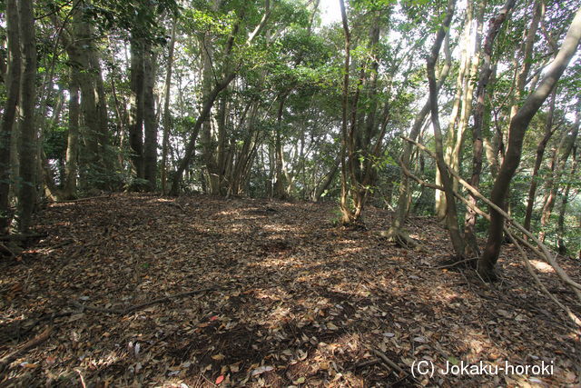 肥前 梶峰城(雌城)の写真