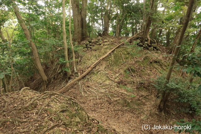 肥前 上戸石城の写真