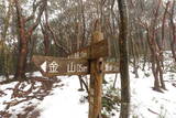 肥前 金山城の写真