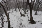 肥前 金山城の写真