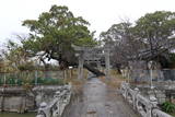 肥前 鹿江城の写真