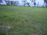 肥前 刈萱城の写真